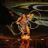 Cirque Du Soleil TOTEM San Francisco Review