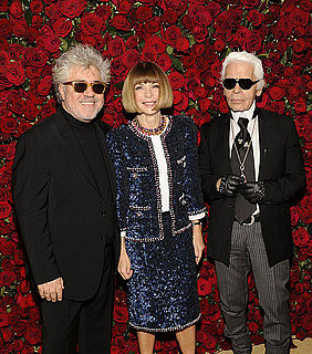 2011 MoMA Almodovar Film Benefit Red Carpet Fashion [Pictures]
