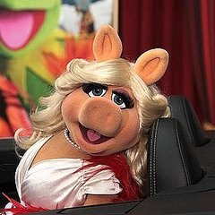 Why Miss Piggy Should Dump Kermit