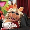 Why Miss Piggy Should Dump Kermit