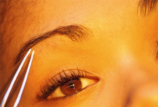 Sperm Brow Sperm Brow