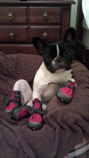 Chillin' in my new boots!