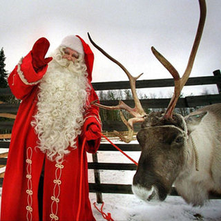 Reindeer Quiz