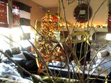 Christmas Around the House