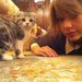 Cat Lady 