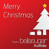 Merry Christmas and Happy Holidays From BellaSugar