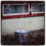 DIY: My version of the Charlie Brown Christmas Tree