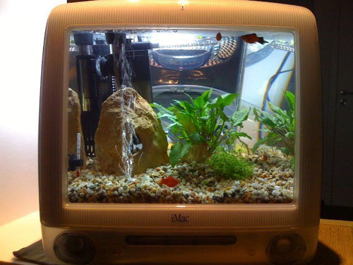 Macquarium Macquarium