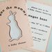 Pat the Bunny Baby Shower