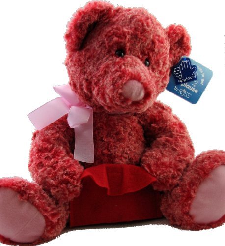 Teddy Bear With Gift Card Holder Teddy Bear With Gift Card Holder