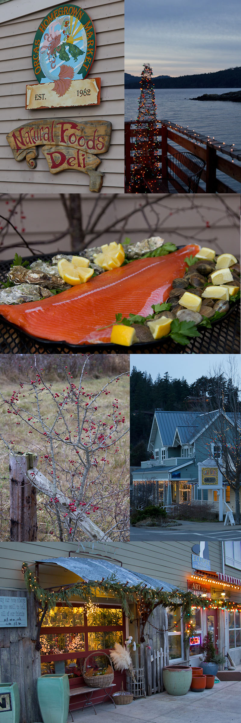 Fresh Seafood from the Orcas Island Home Grown Market