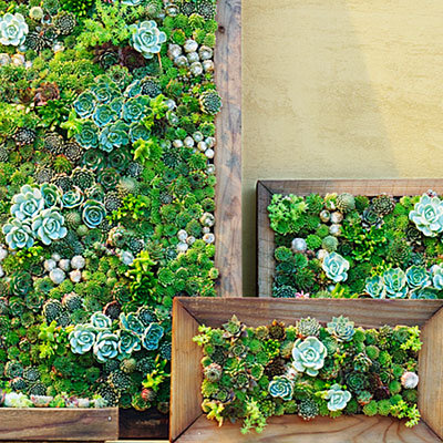 Make your own living succulent art.
Source: Sunset Magazine
Make your own living succulent art.
Source: Sunset Magazine