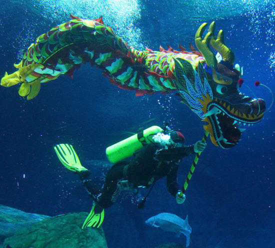 Train a Dragon