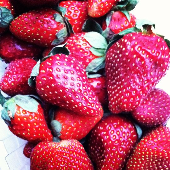 Winter Strawberries