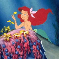 Kate Middleton and Other Princesses
