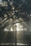 Streetlight
