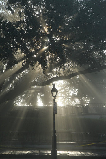 Streetlight