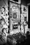 Street Graffiti 