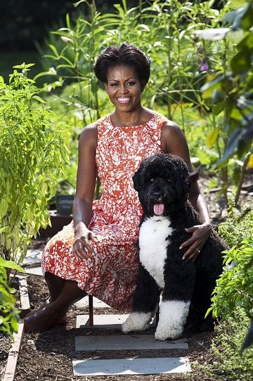 Michelle Obama's First Lady Style Michelle Obama's First Lady Style