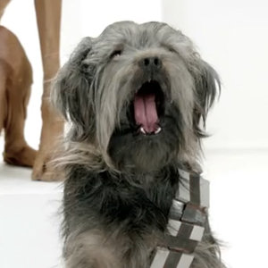 VW Darth Vader Super Bowl Ad With Dogs