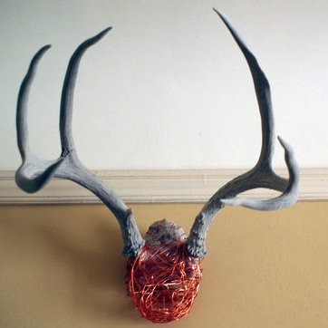 Modern Antlers Update