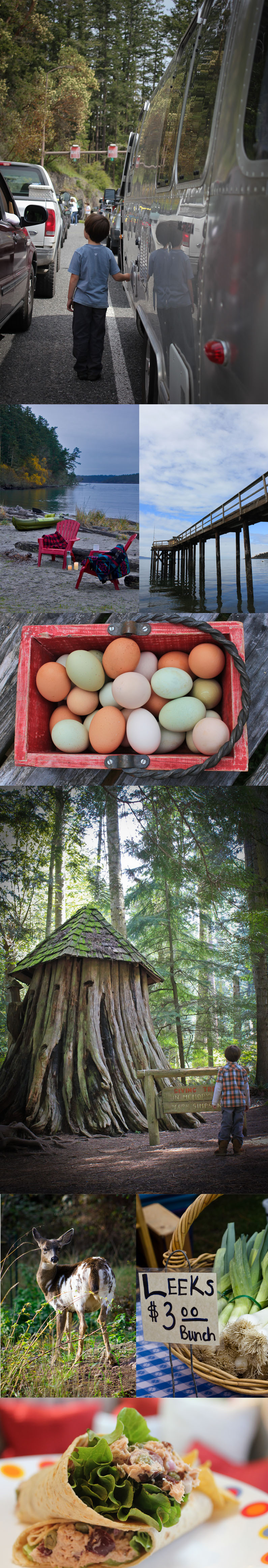 Orcas Island, Farms and a very special Giving Tree