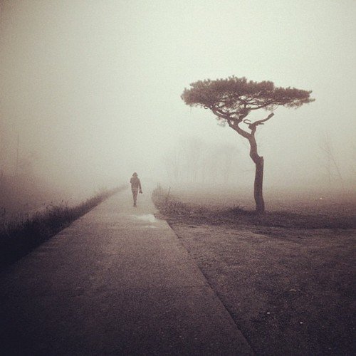 Photography as a Form of Exercise Photography as a Form of Exercise