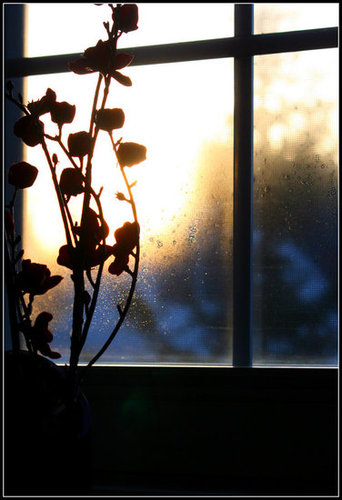 Artificial flowers add color during winter months - by the stairway window