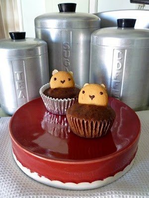 Pudding Cakes Pudding Cakes