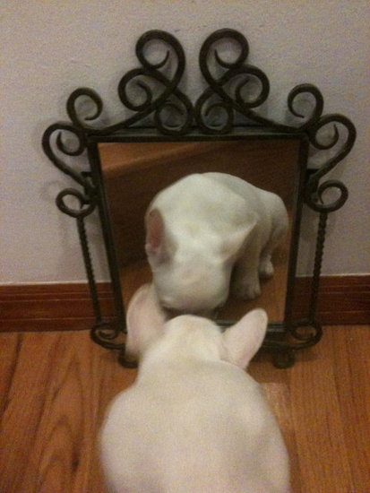 Mirror Mirror..