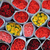 Meaning of Roses: What the Number of Roses Means