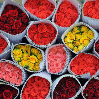 Meaning of Roses: What the Number of Roses Means