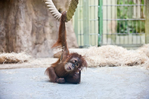 I'm just hanging around and thinking of my next move.
I'm just hanging around and thinking of my next move.