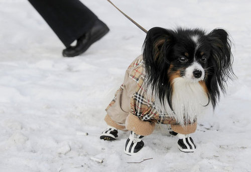 These shoes may be ridiculous, but who's cold now?
These shoes may be ridiculous, but who's cold now?