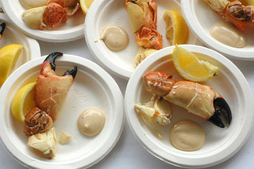 Stone Crab Stone Crab