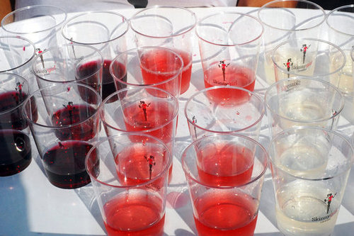 Skinnygirl Wines Skinnygirl Wines