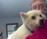 SAMSON HAS FOUND A FOREVER HOME