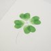 Shamrock Stationery