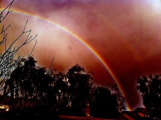 taken in my back yard with my iphone