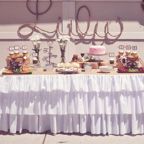 Cowgirl Birthday Party