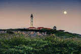 California Lighthouse Aruba