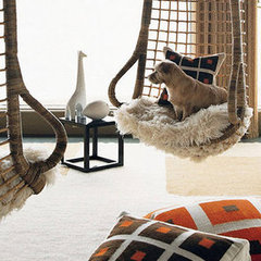 Swinging and Hanging Chair Pictures Swinging and Hanging Chair Pictures