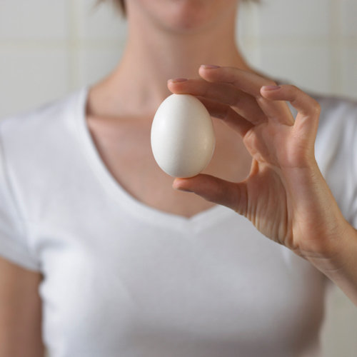 Egg Experiments For Kids
