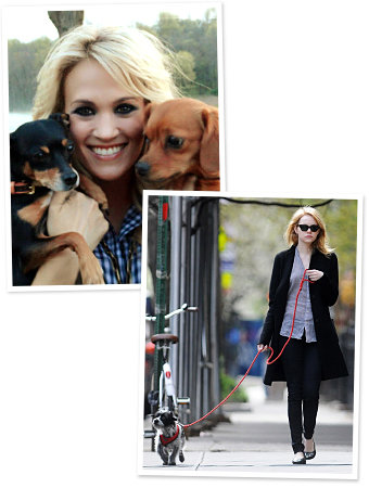 Celebrity Pets:Hollywood’s hottest with their favorite (furry) companions!