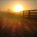 Watch the Sunrise