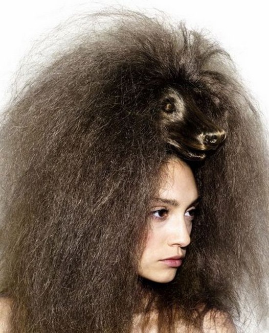 fashion hairstyles fashion hairstyles