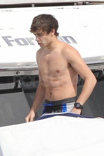 One Direction Celebrates SNL Success With a Shirtless Swim One Direction Celebrates SNL Success With a Shirtless Swim