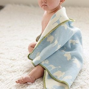 Baby Shower Gifts Under $100