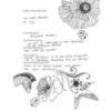 Sara Phillips Fills Out Our Exclusive Pre Mercedes Benz Fashion Week Australia Survey: See Her Cute Handwritten Repsonses