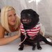 Celebrity pug meets Tory Spelling
